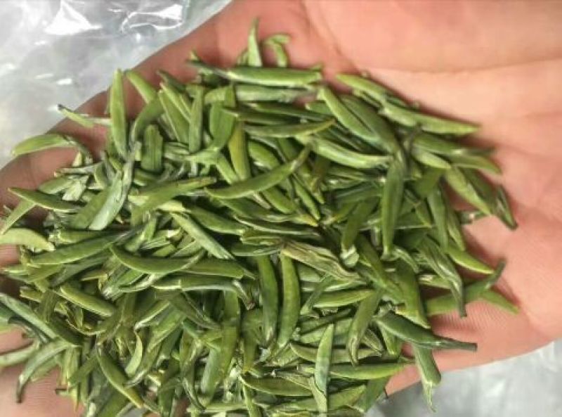 竹叶青茶特级