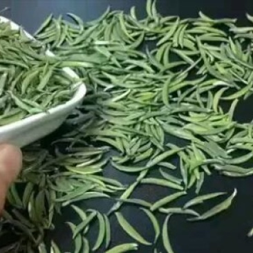 竹叶青茶特级
