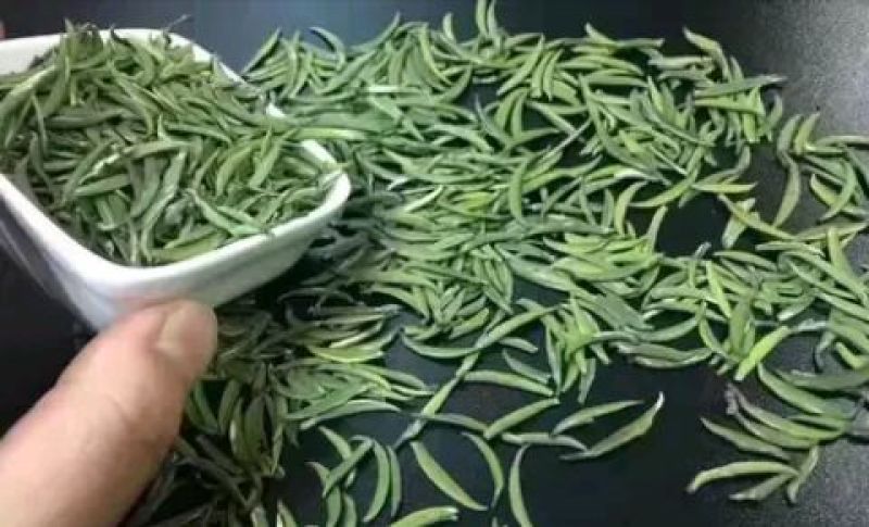 竹叶青茶特级