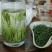 竹叶青茶特级