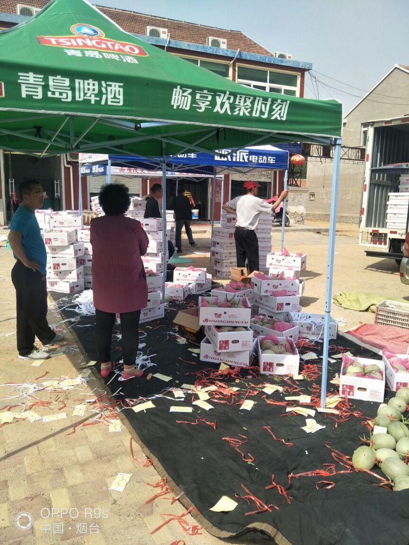 网纹瓜3斤以上长圆形