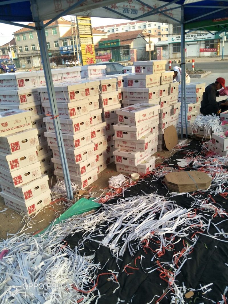 网纹瓜3斤以上长圆形