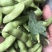 绿宝石毛豆，个头饱满，