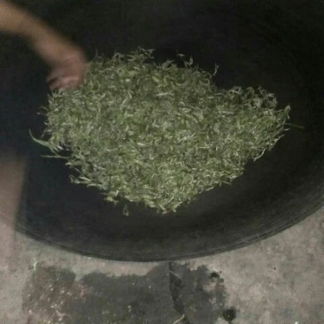 古树茶一级