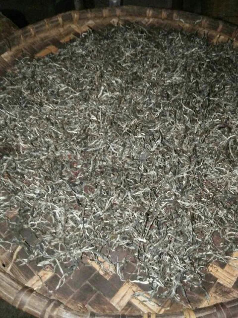 古树茶一级