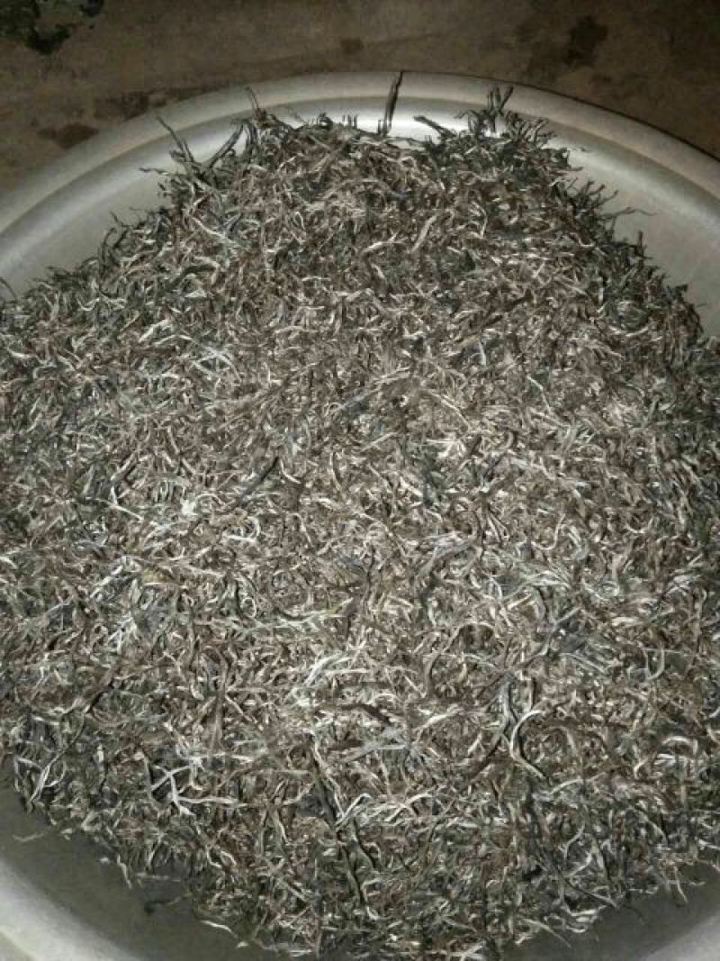 古树茶一级