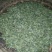 古树茶一级
