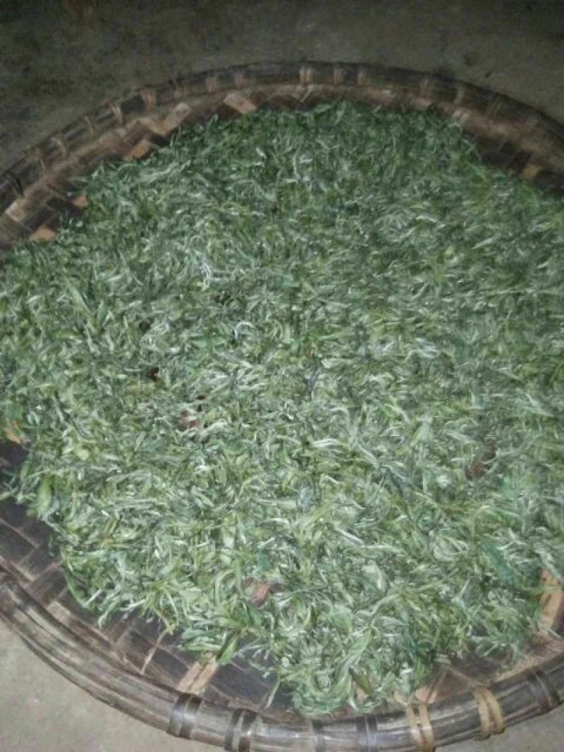 古树茶一级