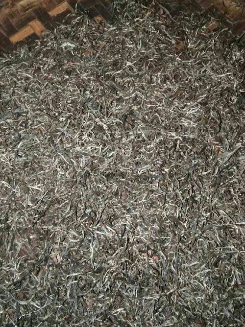 古树茶一级