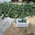 张北耐寒优秀西兰花0.8~1.5斤连续供应3个半月