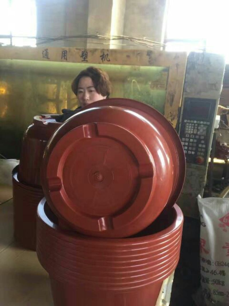 荷花20~30cm