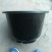 荷花20~30cm