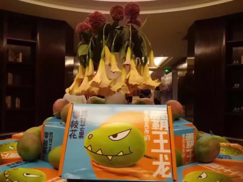 一件代发凯特芒7元攀枝花青芒货产地代办下地直接采摘