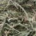 产地直发车前草，沂蒙山山区里的自然车前草