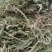 产地直发车前草，沂蒙山山区里的自然车前草