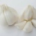【优质】紫皮大蒜头鲜蒜4.5~5cm品质优货源充沛提供包装