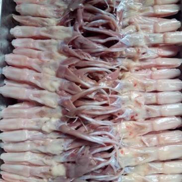 白条鸭