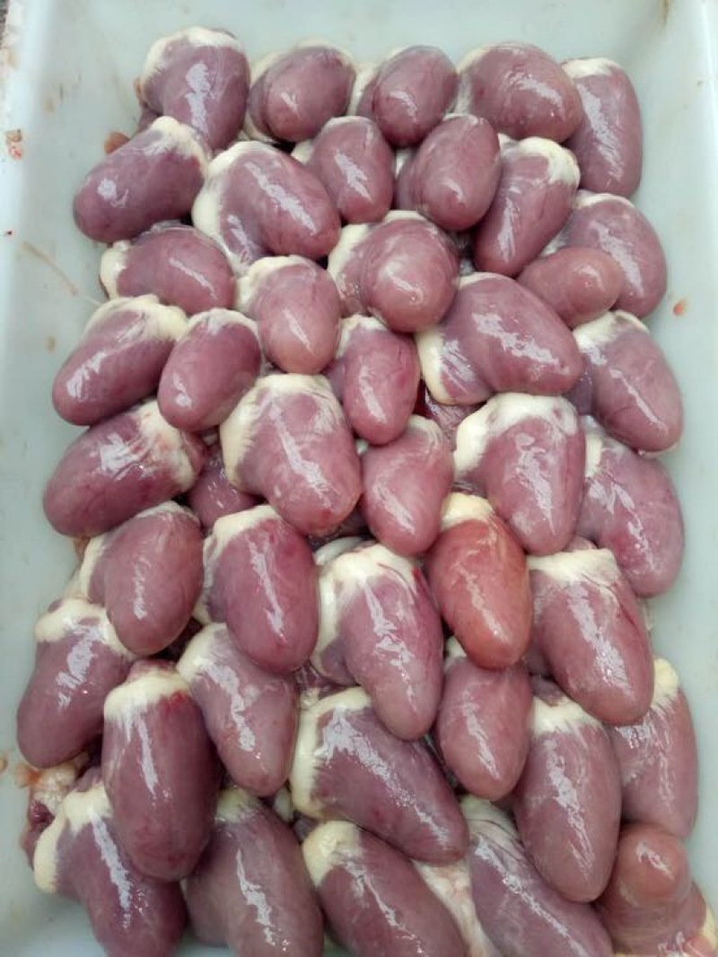 白条鸭