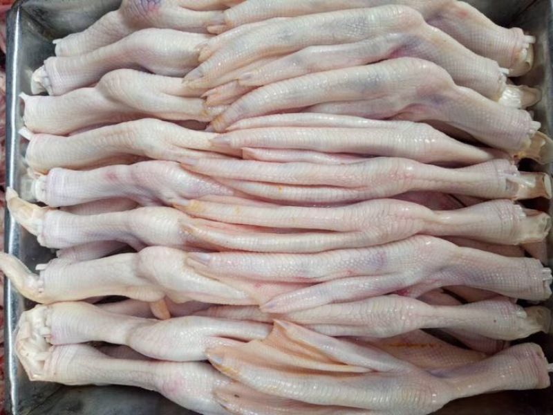 白条鸭