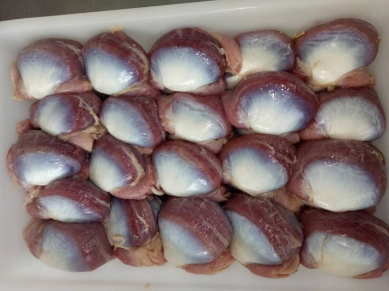白条鸭