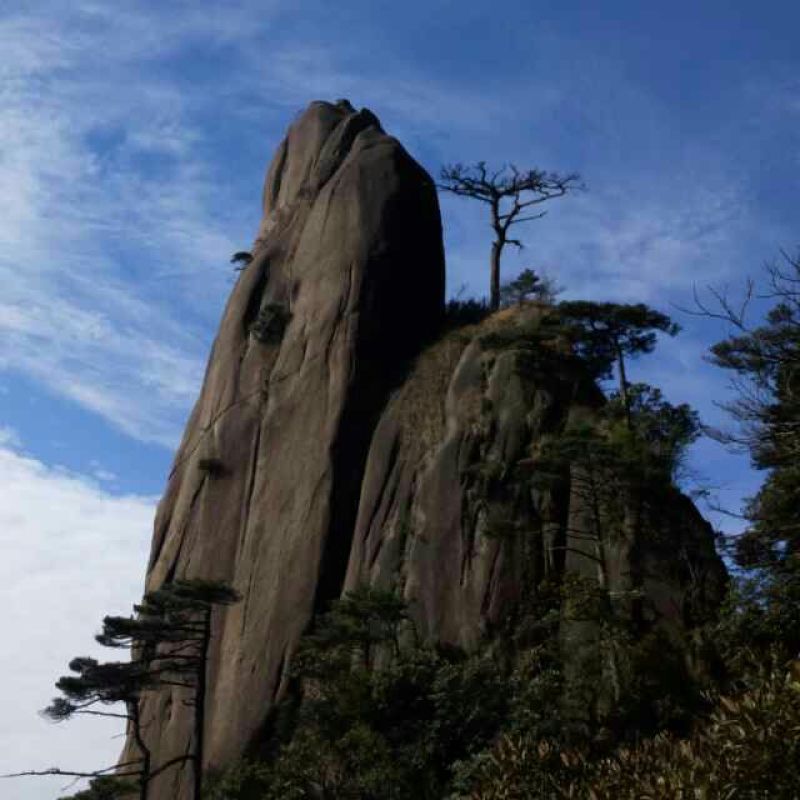 红薯粉丝散装