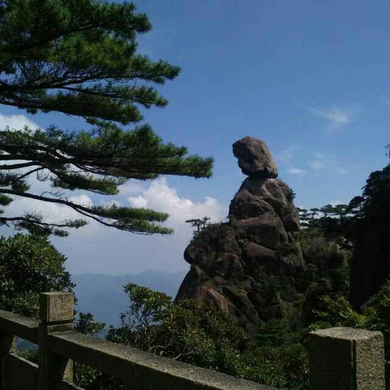 红薯粉丝散装