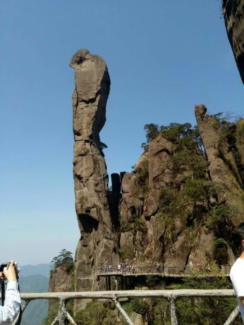 红薯粉丝散装