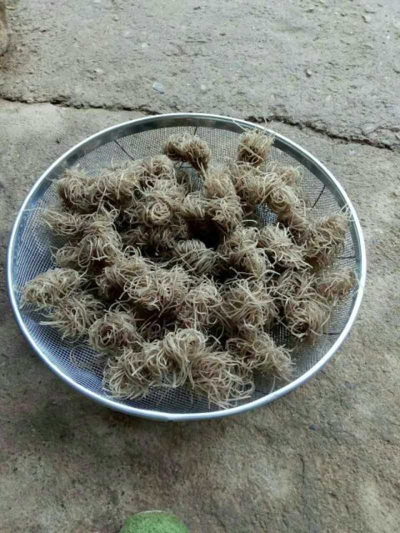 红薯粉丝散装