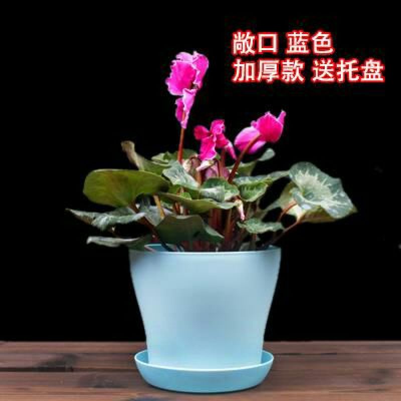 花盆新款加厚敞口塑料花盆