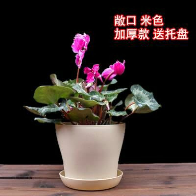 花盆新款加厚敞口塑料花盆