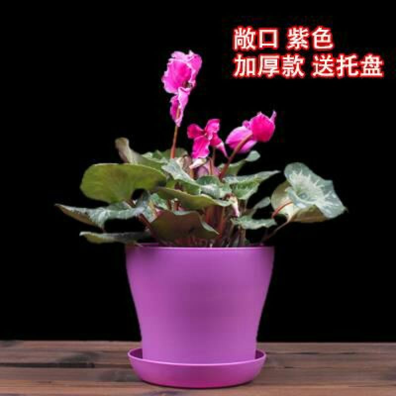 花盆新款加厚敞口塑料花盆