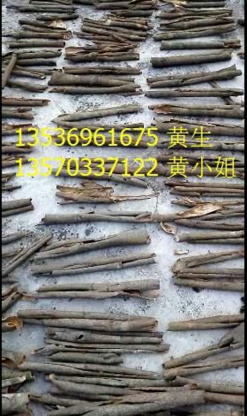 桂皮散装统货