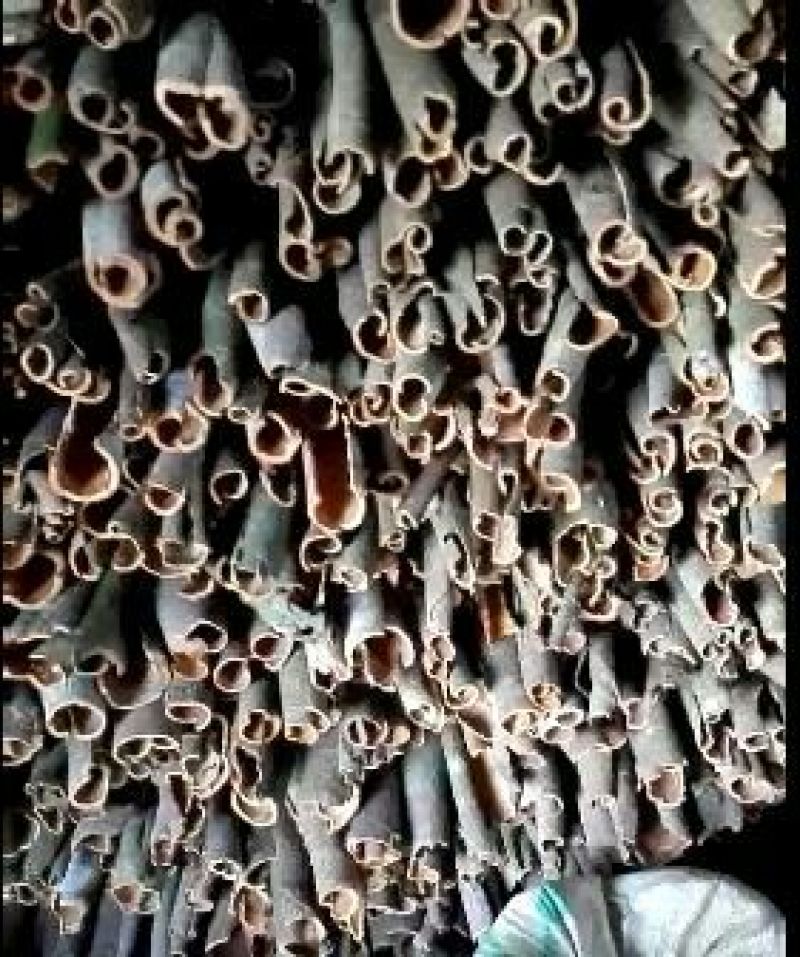 桂皮散装统货