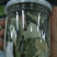 荷叶茶一级