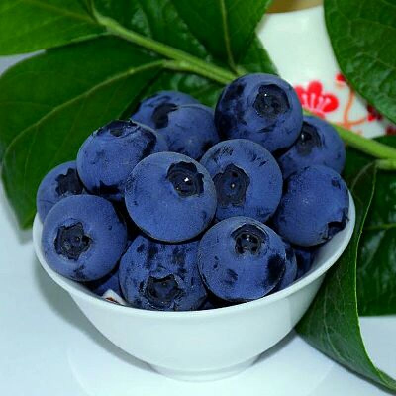 北陆蓝莓鲜果6~8mm以上