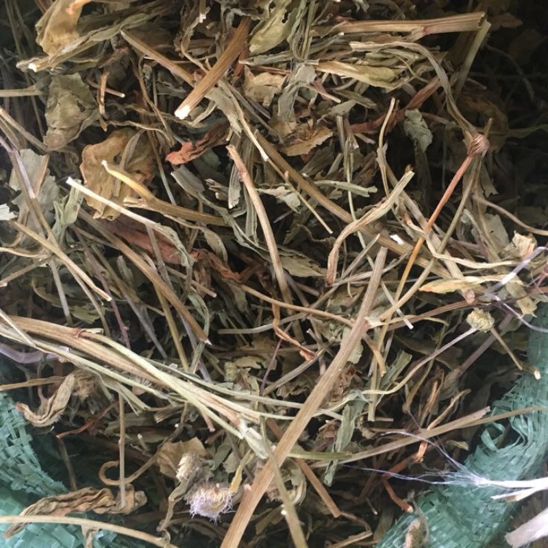 灯盏花