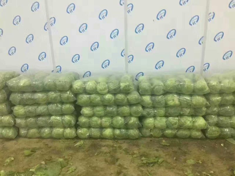 甘蓝大量供应，一手货源，货源充足，绿翠源果蔬专业合作社