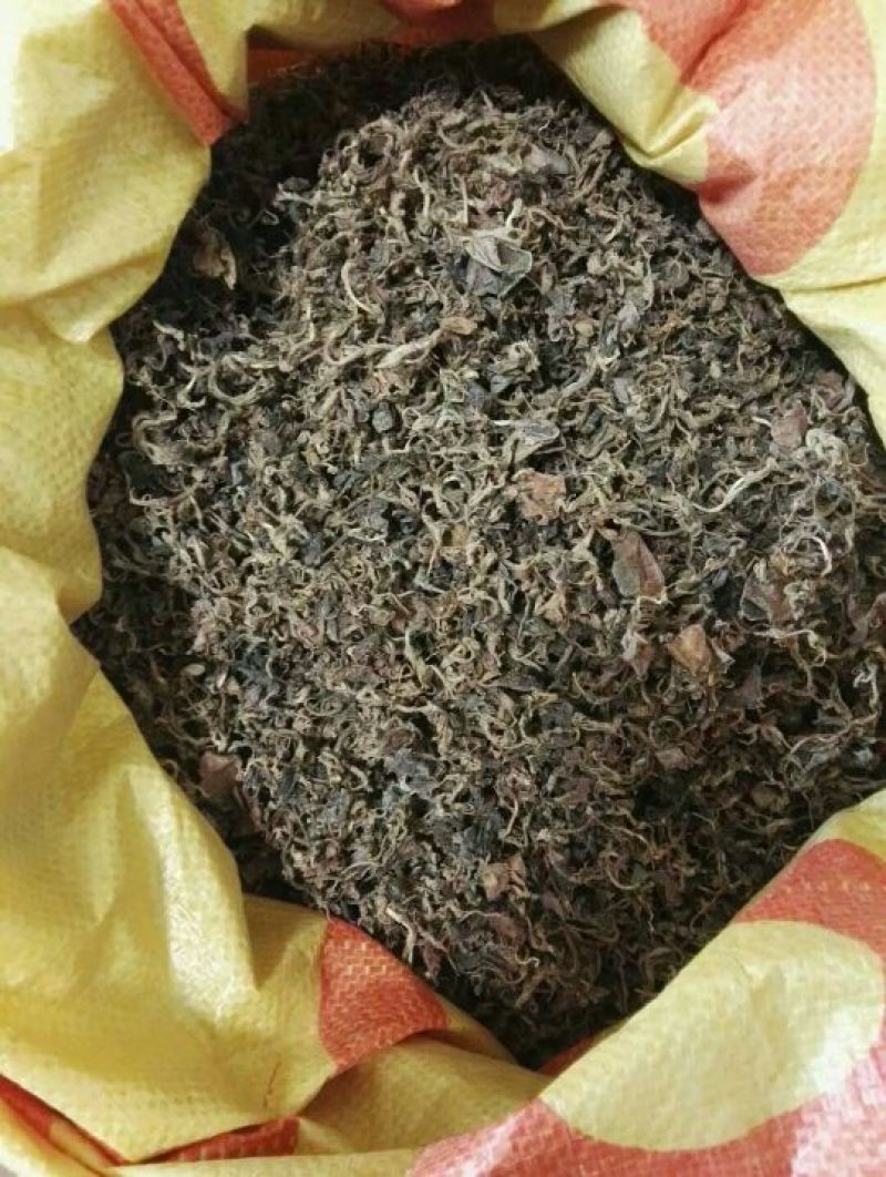 金线莲干货