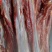 驴肉鲜货