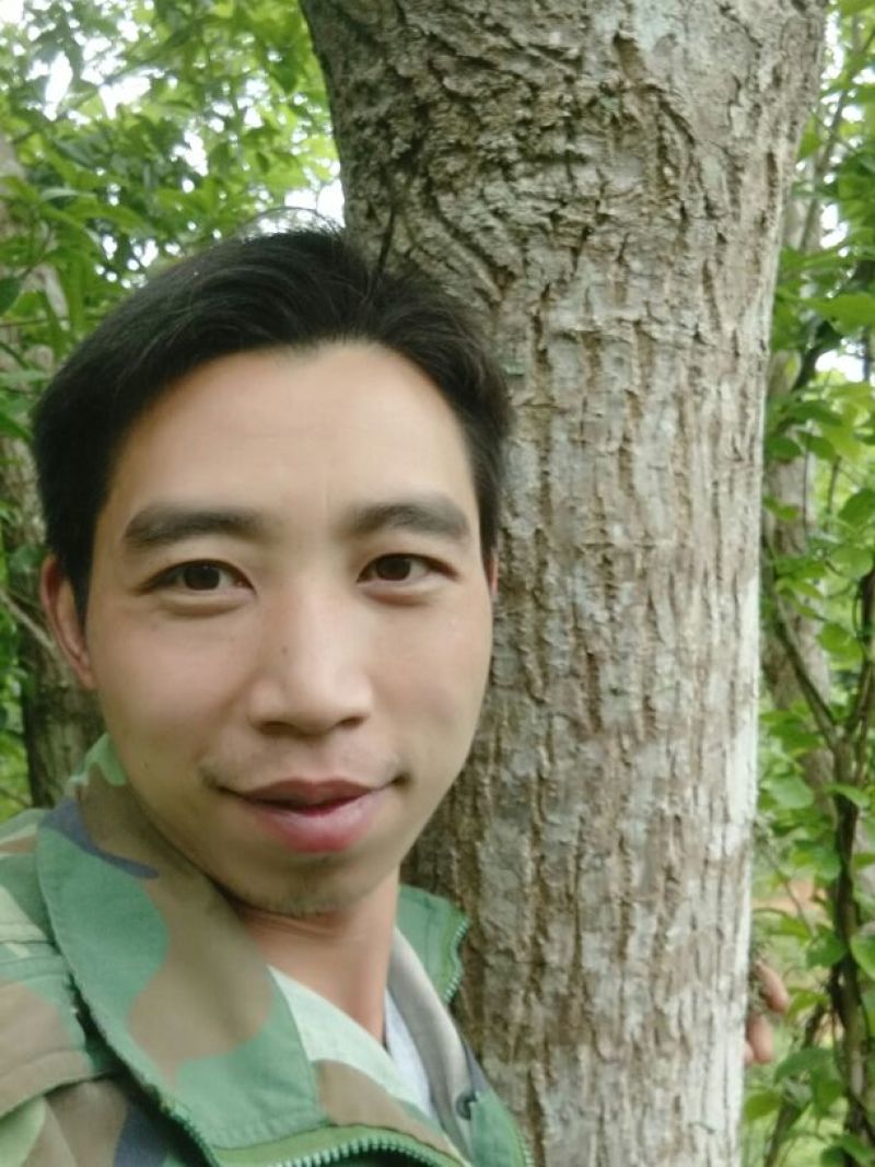 杜仲皮深山生长30年以上树龄【1：通货2:选货3:优质】