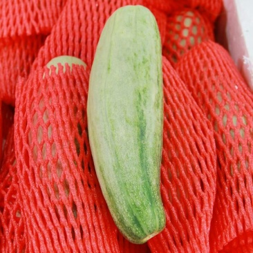 羊角蜜甜瓜通货0.5斤以上