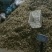 【实力推荐】干平菇大量供应自然烘干商超品质一手货源