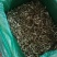 【实力推荐】干平菇大量供应自然烘干商超品质一手货源