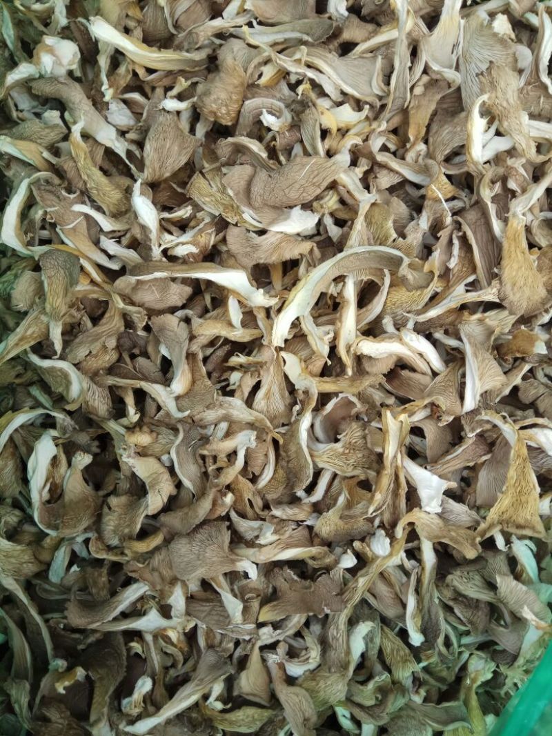 【实力推荐】干平菇大量供应自然烘干商超品质一手货源