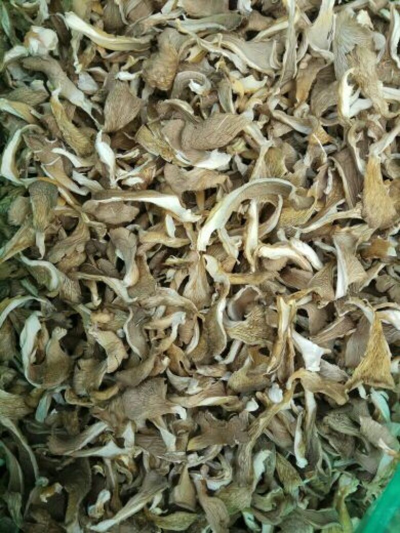 【实力推荐】干平菇大量供应自然烘干商超品质一手货源
