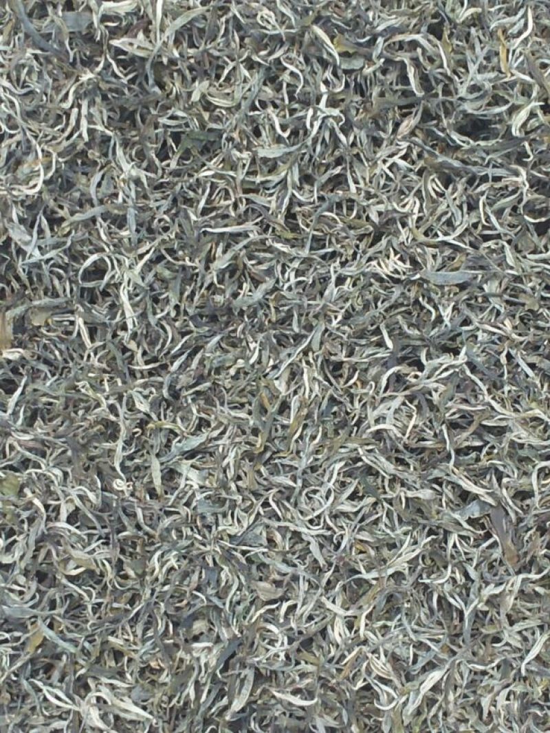 普洱茶