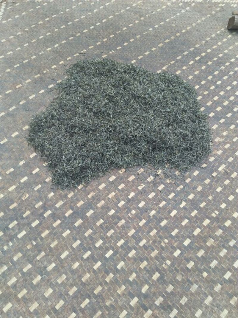 普洱茶