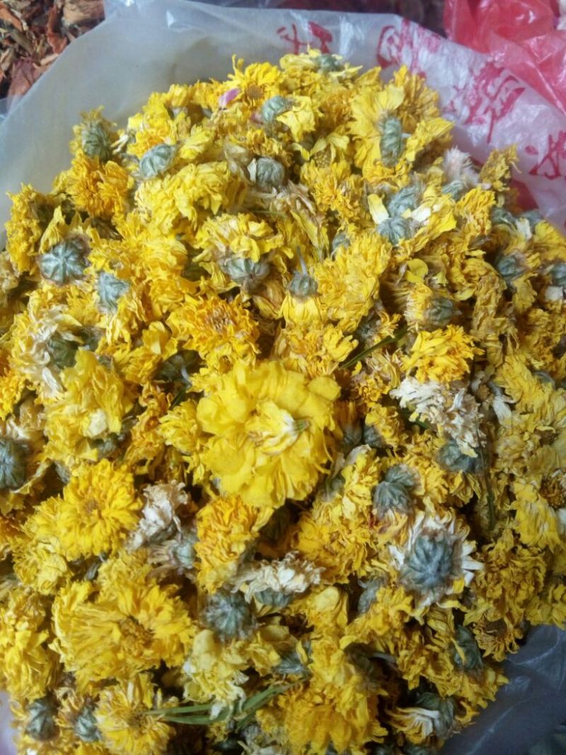 野菊花统货