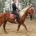 伊犁马300~400kg