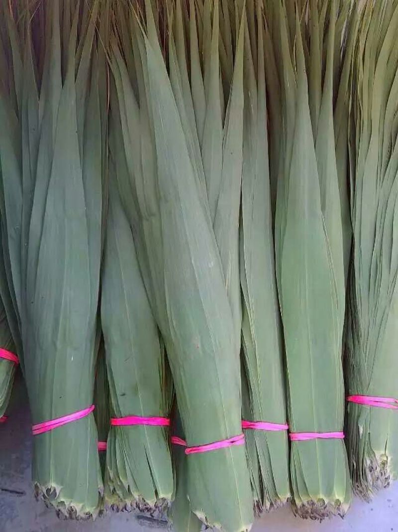 苇叶